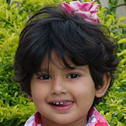 Gainesville Dental Arts Gainesville Haymarket Pediatric Dentistry Related Services