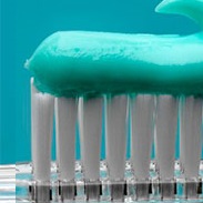 Gainesville Dental Arts Gainesville Haymarket ToothPaste Related Services