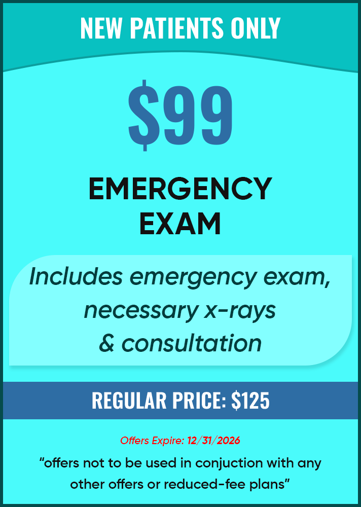new patients only emergency exam $59
